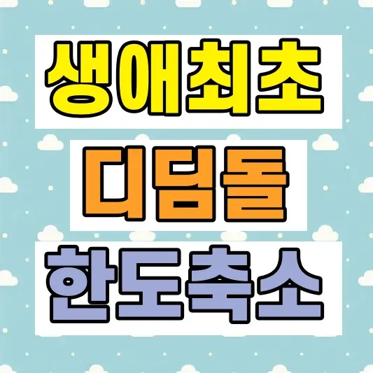디딤돌대출 한도 축소