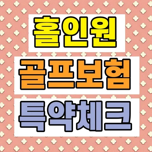 골프보험 홀인원보험 추천